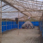 La escuela Bloom va tomando forma